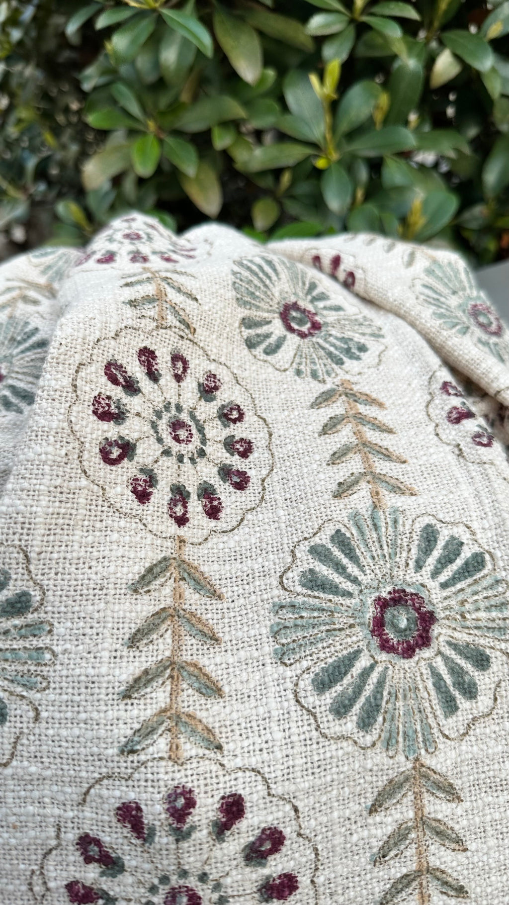 Velvet Dahlia Throw Blanket