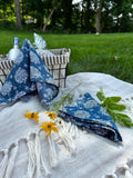 Indigo Beauty Table Napkins, Set of 2 - DewDropHues